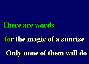 There are words
for the magic of a sunrise

Only none of them Will (10