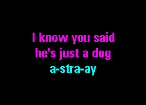 I know you said

he's just a dog
a-stra-ay