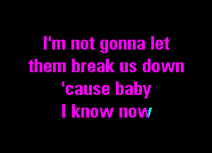 I'm not gonna let
them break us down

'cause baby
I know now