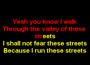 Yeah you know I walk
Through the valley of these
streets
I shall not fear these streets
Because I run these streets