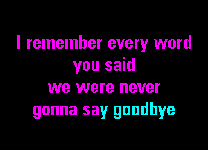 I remember every word
you said

we were never
gonna say goodbye