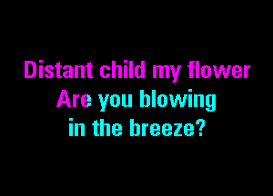 Distant child my flower

Are you blowing
in the breeze?
