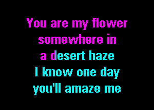 You are my flower
somewhere in

a desert haze
I know one day
you'll amaze me