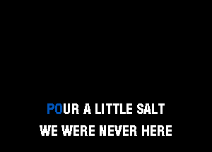 POUR A LITTLE SALT
WE WERE NEVER HERE