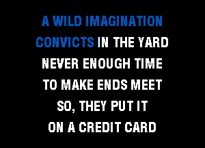 A WILD IMAGINATION
COHVICTS IN THE YARD
NEVER ENOUGH TIME
TO MAKE ENDS MEET
SO, THEY PUT IT

ON A CREDIT CARD l