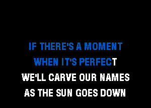 IF THERE'S a MOMENT
WHEN IT'S PERFECT
WE'LL CARVE OUR NAMES
AS THE SUN GOES DOWN