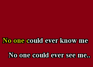 N 0 one could ever know me

No one could ever see me..