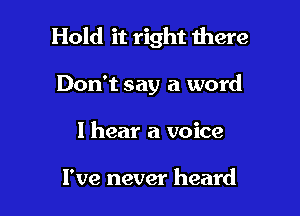 Hold it right there

Don't say a word
I hear a voice

I've never heard