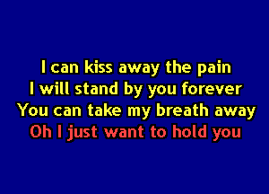 I can kiss away the pain
I will stand by you forever

You can take my breath away