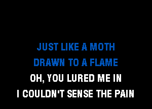 JUST LIKE A MOTH
DRAWN TO A FLAME
0H, YOU LUBED ME IN

I COULDN'T SENSE THE PAIN l