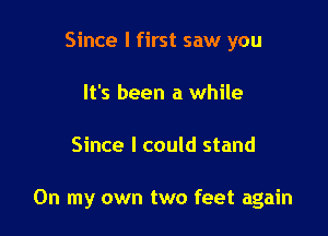 Since I first saw you
It's been a while

Since I could stand

On my own two feet again