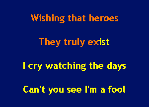 Wishing that heroes

They truly exist

I cry watching the days

Can't you see I'm a fool
