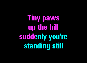 Tiny paws
up the hill

suddenly you're
standing still