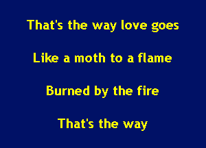 That's the way love goes
Like a moth to a flame

Burned by the fire

That's the way