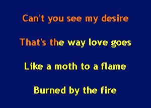 Can't you see my desire

That's the way love goes

Like a moth to a flame

Burned by the fire