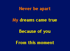 Never be apart

My dreams came true

Because of you

From this moment