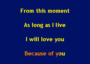 From this moment
As long as I live

I will love you

Because of you