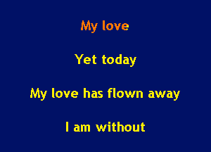 My love

Yet today

My love has flown away

I am without