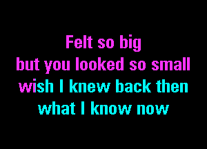 Felt so big
but you looked so small

wish I knew back then
what I know now