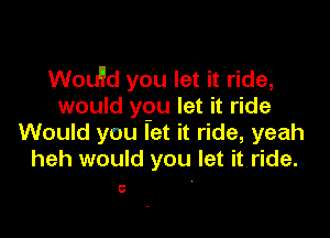 Wou'ld you let it ride,
would you let it ride

Would you let it ride, yeah
heh would you let it ride.

0