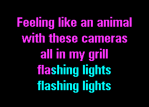 Feeling like an animal
with these cameras
all in my grill
flashing lights

flashing lights I