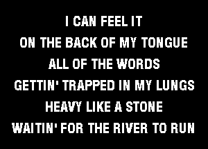 I CAN FEEL IT
ON THE BACK OF MY TONGUE
ALL OF THE WORDS
GETTIH' TRAPPED IN MY LUNGS
HEAVY LIKE A STONE
WAITIH' FOR THE RIVER TO RUN