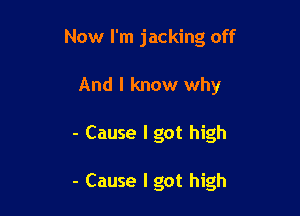 Now I'm jacking off
And I know why

- Cause I got high

- Cause I got high