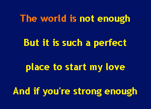The world is not enough
But it is such a perfect
place to start my love

And if you're strong enough