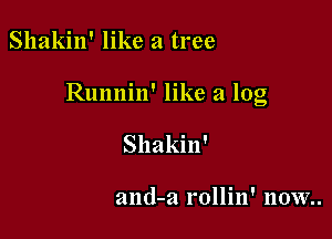 Shakin' like a tree

Runnin' like a log

Shakhf

and-a rollin' 110w