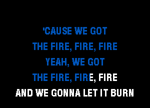 'CAUSE WE GOT
THE FIRE, FIRE, FIRE
YEAH, WE GOT
THE FIRE, FIRE, FIRE
AND WE GONNA LET IT BURN