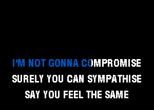 I'M NOT GONNA COMPROMISE
SURELY YOU CAN SYMPATHISE
SAY YOU FEEL THE SAME