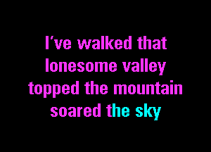 I've walked that
lonesome valley

topped the mountain
soared the sky