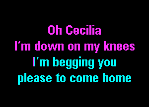 Oh Cecilia
I'm down on my knees

I'm begging you
please to come home