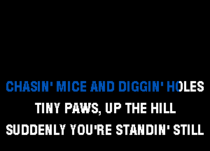 CHASIH' MICE AND DIGGIH' HOLES
TINY PAWS, UP THE HILL
SUDDEHLY YOU'RE STANDIH' STILL