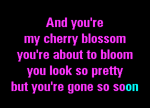 And you're
my cherry blossom
you're about to bloom
you look so pretty
but you're gone so soon