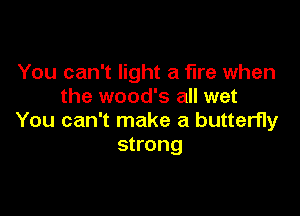 You can't light a fire when
the wood's all wet

You can't make a butterfly
strong