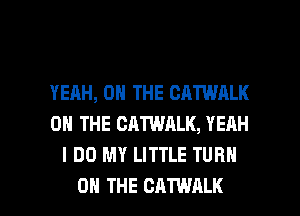 YEAH, ON THE CATWALK
ON THE CATWALK, YEAH
I DO MY LITTLE TURN

ON THE CATWALK l