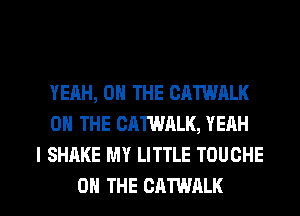 YEAH, ON THE CATWALK
ON THE CATWALK, YEAH
I SHAKE MY LITTLE TOUCHE

ON THE CATWALK l