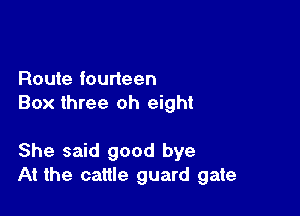 Route fourteen
Box three oh eight

She said good bye
At the cattle guard gate