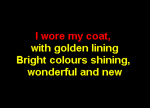 I wore my coat,
with golden lining

Bright colours shining,
wonderful and new