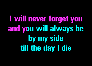 I will never forget you
and you will always be

by my side
till the day I die