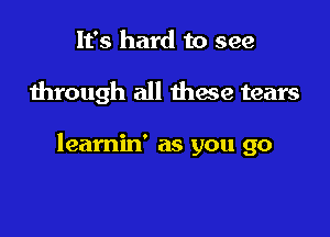 It's hard to see

through all maze tears

leamin' as you go