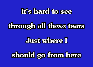 It's hard to see
through all these tears
Just where I

should go from here