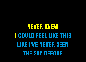 NEVER KNEW
I COULD FEEL LIKE THIS
LIKE I'VE NEVER SEEN

THE SKY BEFORE l