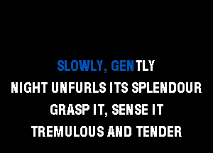 SLOWLY, GENTLY
NIGHT UHFURLS ITS SPLEHDOUR
GRASP IT, SENSE IT
TREMULOUS AND TENDER