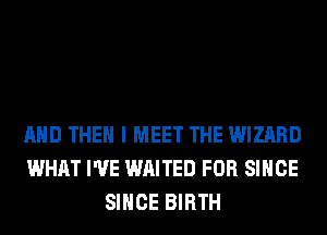AND THEN I MEET THE WIZARD
WHAT I'VE WAITED FOR SINCE
SINCE BIRTH