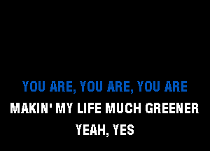 YOU ARE, YOU ARE, YOU ARE
MAKIH' MY LIFE MUCH GREEHER
YEAH, YES