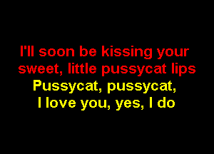 I'll soon be kissing your
sweet, little pussycat lips

Pussycat, pussycat,
I love you, yes, I do