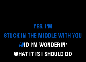 YES, I'M
STUCK IN THE MIDDLE WITH YOU
AND I'M WONDERIH'
WHAT IT ISI SHOULD DO