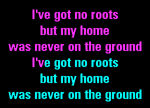 I've got no roots
but my home
was never on the ground
I've got no roots
but my home
was never on the ground